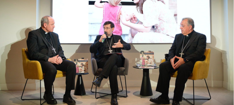 memoria provincia web