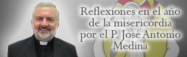 minibanner misericordia