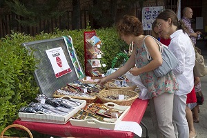 mercadillocarmelitasweb