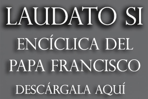 Laudato si