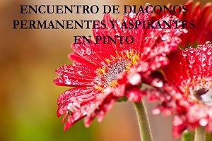 DIACONOSPINTOWEB