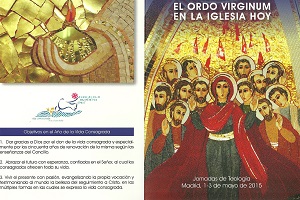 virgenesweb