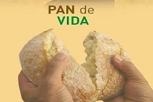 panvidawebesta