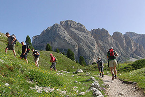 Propuestas de verano