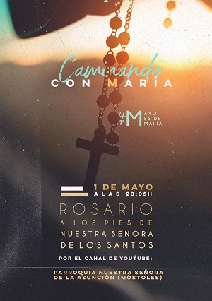 Cartel Rosarioweb