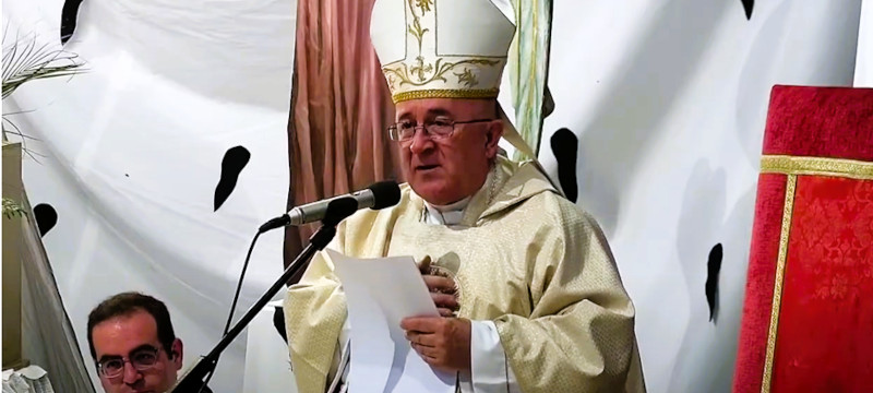 fotoavendanoenlavirgenangeles