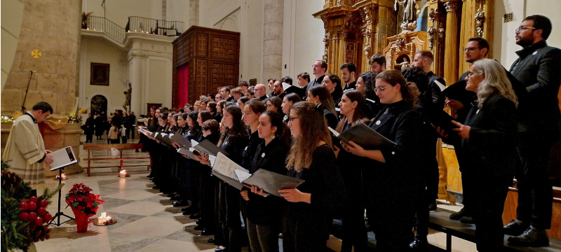 cor diocesano este web