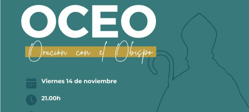oceo nov noticiaweb