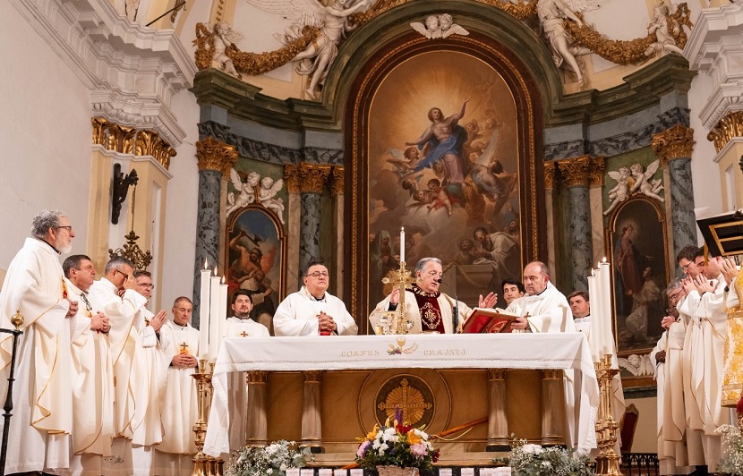 visita pastoral ginesweb