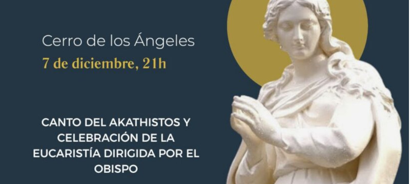 vigilia inmaculadaweb