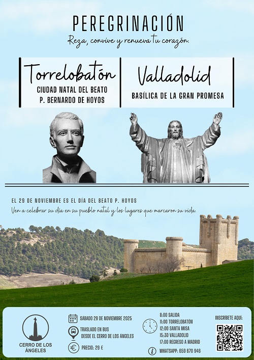 peregrinacion torrelobatondentro