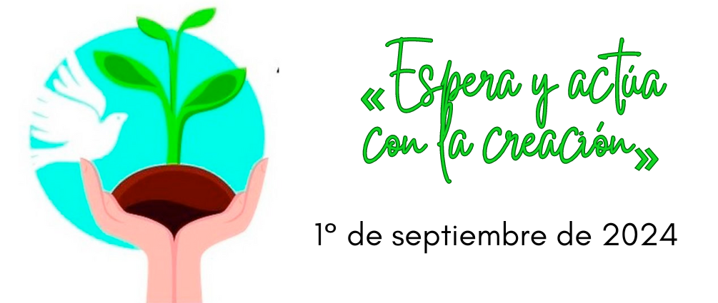 banner creacion